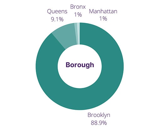Demographics - Borough