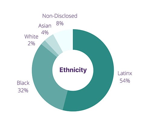 Demographics - Ethnicity