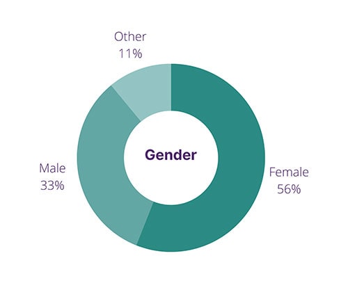 Demographics - Gender